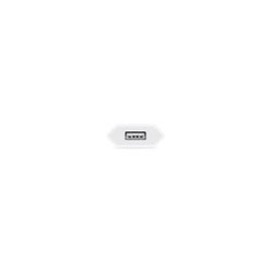 CHARGEUR SECTEUR USB 5W APPLE